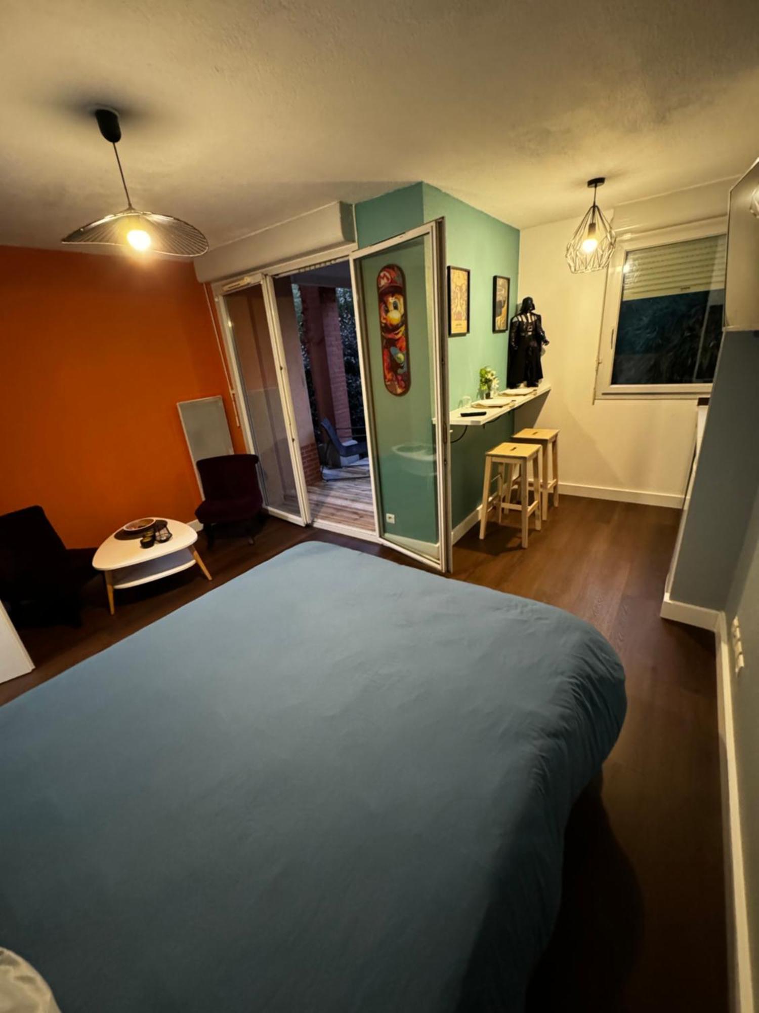 Le Loft Geek Apartment Toulouse Bagian luar foto