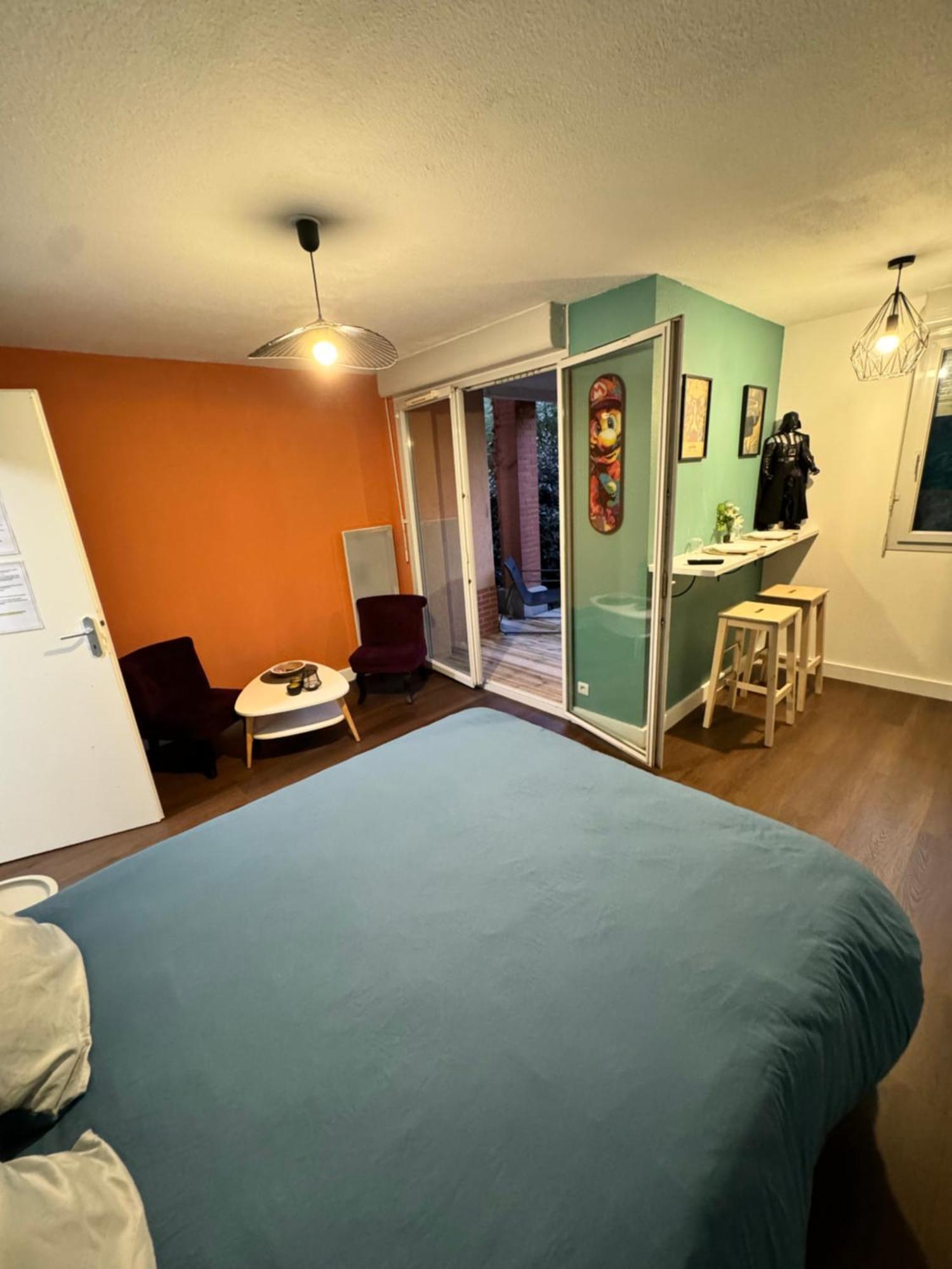 Le Loft Geek Apartment Toulouse Bagian luar foto