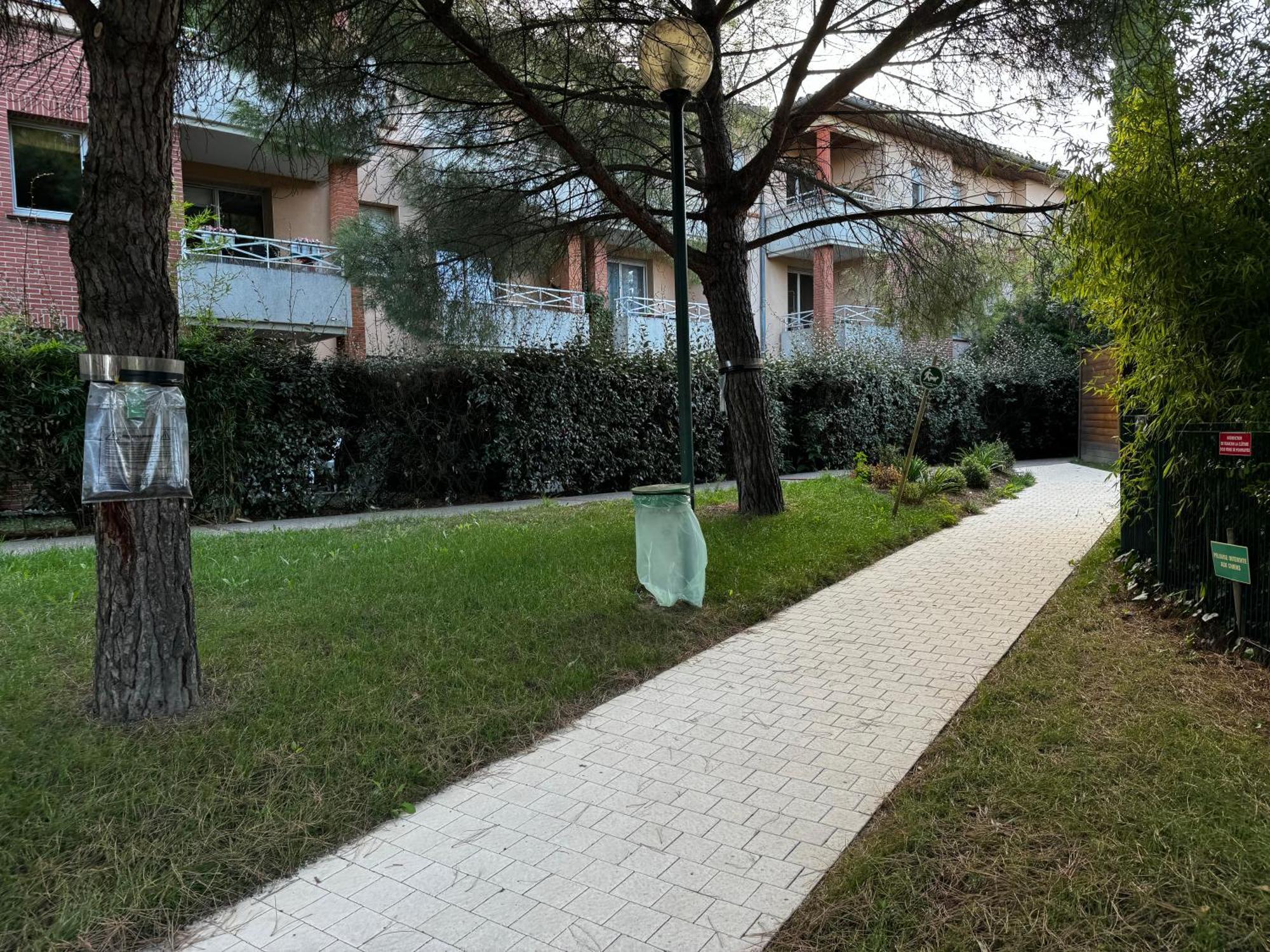 Le Loft Geek Apartment Toulouse Bagian luar foto